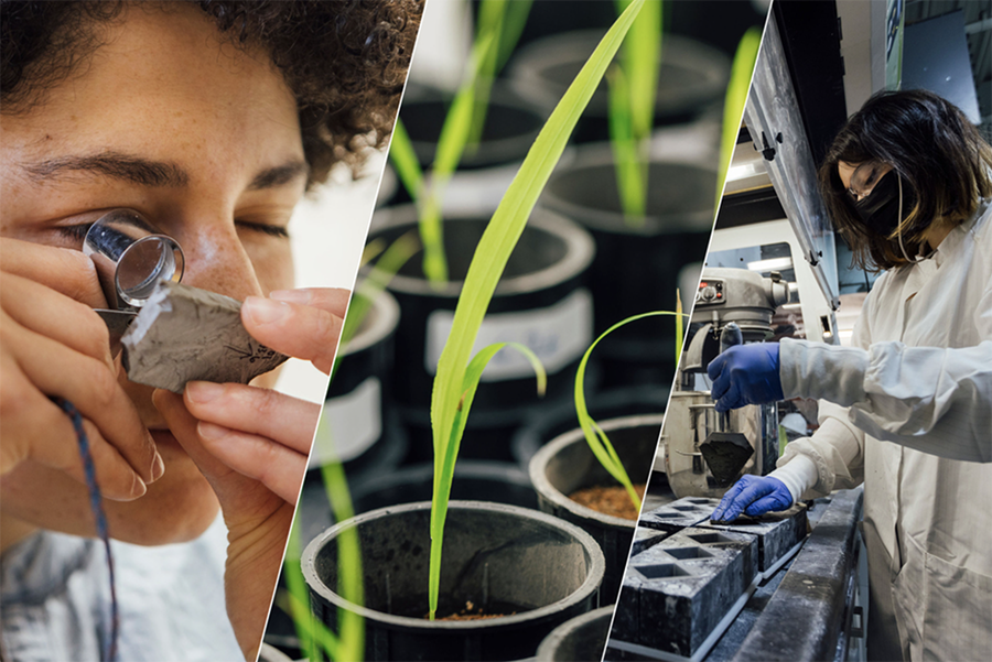 a collection of photographs including scientists in a lab, growing plants and a person looking through a magnifying glass
