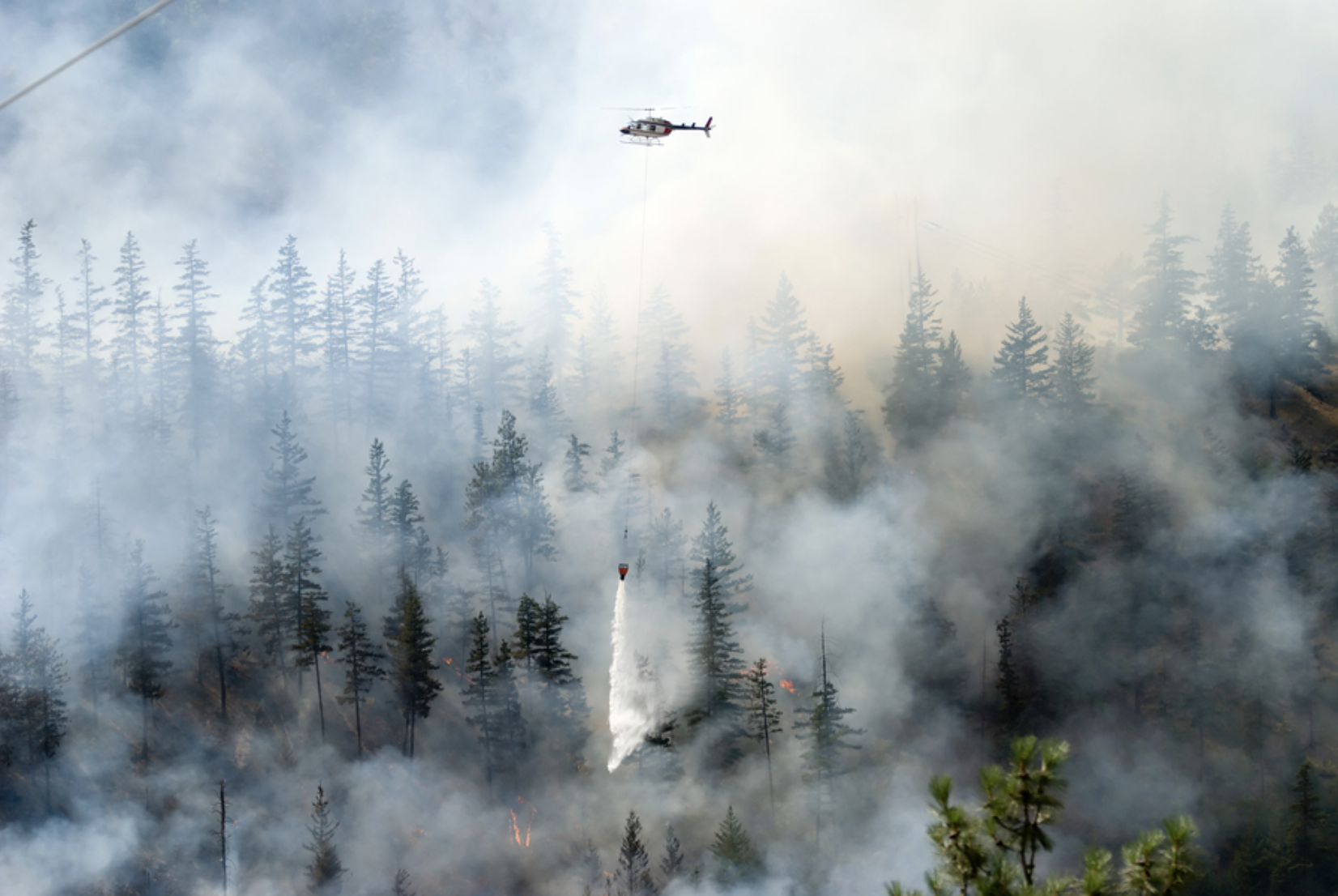As the Earth’s climate changes, larger and longer-burning wildfires are sending smoke farther from their source, often to places that are unaccustomed to the exposure. Image: iStock